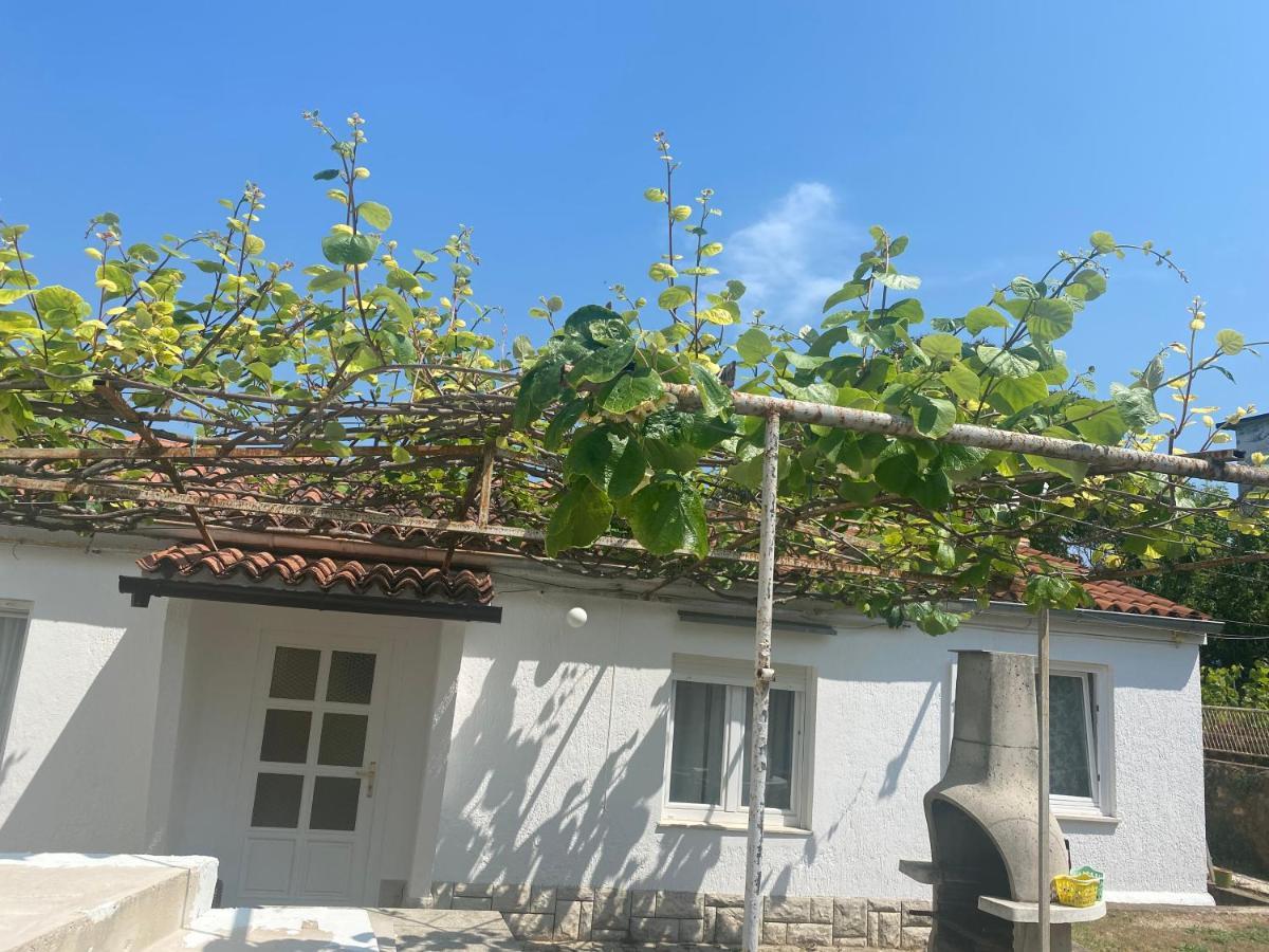 Apartman Nela Lejlighed Poreč Eksteriør billede